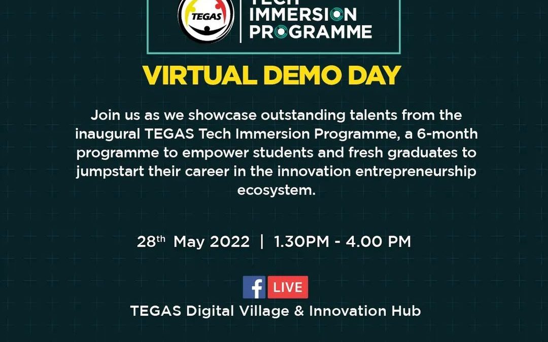 Tech Immersion Program Virtual Demo Day