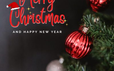 Merry Christmas and Happy New Year from us!